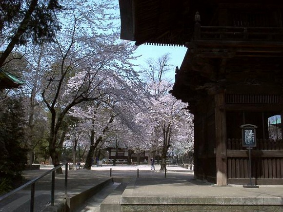 2000春-仁王門脇から下品堂を見る