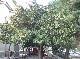 DSCF2800.jpg