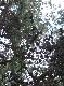 DSCF2802.jpg