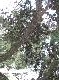 DSCF2803.jpg