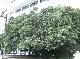 DSCF2809.jpg