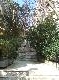 DSCF2818.jpg