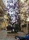 DSCF2820.jpg
