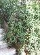 DSCF2821.jpg