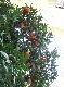 DSCF2823.jpg