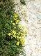 DSCF2854.jpg