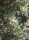 DSCF2859.jpg