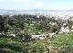 DSCF2896.jpg
