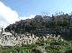 DSCF2906.jpg