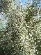 DSCF2917.jpg
