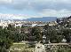 DSCF2928.jpg