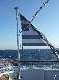 DSCF2971.jpg