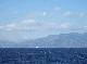 DSCF2989.jpg