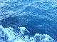 DSCF2993.jpg