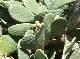DSCF3017.jpg