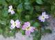 DSCF3019.jpg
