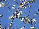 DSCF3021.jpg