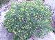 DSCF3046.jpg