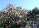 DSCF3052.jpg