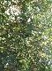 DSCF3058.jpg