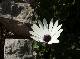 DSCF3061.jpg