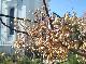 DSCF3083.jpg