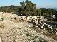 DSCF3107.jpg