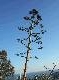 DSCF3109.jpg