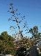 DSCF3110.jpg