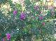 DSCF3119.jpg