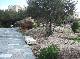 DSCF3150.jpg