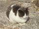 DSCF3202.jpg
