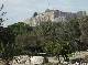 DSCF3247.jpg