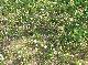 DSCF3249.jpg