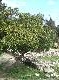 DSCF3274.jpg