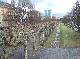 DSCF3296.jpg
