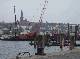 DSCF3343.jpg