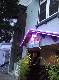 DSCF3458.jpg