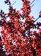 DSCF3465.jpg