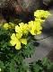 DSCF3468.jpg