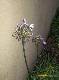 DSCF3470.jpg