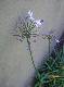 DSCF3471.jpg