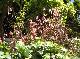 DSCF3472.jpg