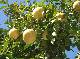 DSCF3473.jpg