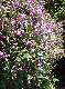 DSCF3474.jpg