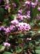DSCF3475.jpg