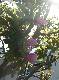 DSCF3477.jpg