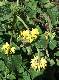 DSCF3489.jpg