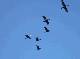 DSCF3495.jpg