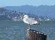 DSCF3508.jpg